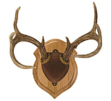 Image of Walnut Hollow Deluxe Antler