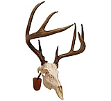 Image of Walnut Hollow Euro Skull Mount Kit
