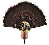 Image of Walnut Hollow Turkey Display Kit Spring Strut