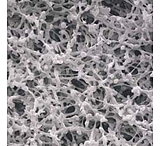 Image of Whatman Membra-Fil Membrane Filters, Non-Gridded, Whatman 10400912, Pack of 100