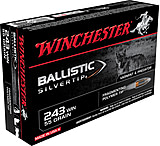 Winchester Ballistic Silvertip .243 Winchester 55 grain Fragmenting Polymer Tip Centerfire Rifle Ammunition