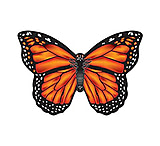 Image of WindNSun Microbutterfly - Monarch