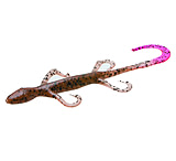 Image of Zoom Lizard