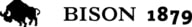 Bison 1879 2026 Logo