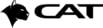 CAT Devices 2026 Logo