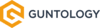 Guntology