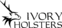 Ivory Holsters