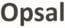 Opsal 2025 Logo