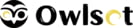 Owlset 2025 Logo