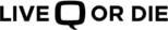Q LLC. 2024 Logo