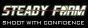 Steady Form 2017 Logo