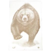 Action Target Alaska State Parks Bear Target, 23x35, 100 Per Box
