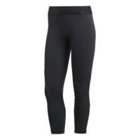 Adidas Terrex Alphaskin Sport 3/4 Tight - Women's