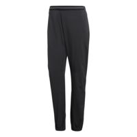 Adidas Terrex Lite Flex Pant - Women's