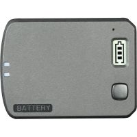 AEE Backup Battery