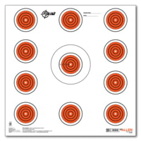 EZ-Aim 11 Spot Target 13-Pack