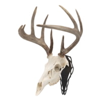 Allen EZ Mount Silhouette Skull Peg