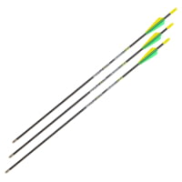 Allen Blade100 28in Youth Arrow , 3 Pack