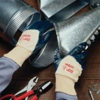 Ansell Healthcare Glove Hylite Mw Ntrl SZ10 PK12 205934, Case of 12 / Pack of 12