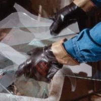 Ansell Healthcare GLV, GLD, SAFCUFF(28-359)PK12PR9 216149, Case of 6 / Pack of 12