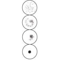 Arlington RPR Test Cards and Pipets, ASI 906030-25 30-Well Cards