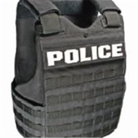 Armor Express Hrdm Carrier Mul - W/ Molle Web