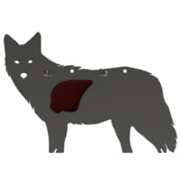 Atlas Target Works Coyote Side Profile Reactive Targets