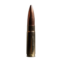 Atomic Ammunition Subsonic .300 AAC Blackout 220grain Boat Tail Hollow Point Brass Cased Rifle Ammunition