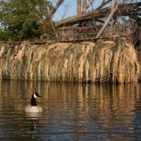 Avery Outdoors KillerWeed Boat Blind Kit
