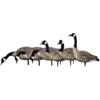 Avian X AXP Goose Decoys
