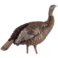 Avian X HDR Hen Decoy