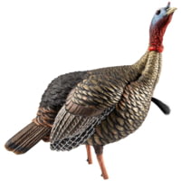 Avian X HDR Jake Decoy
