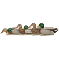 Avian X Topflight Fusion Mallards