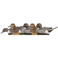 Avian X Topflight Pintails