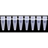 Axygen PCR Tube Strips and Cap Strips, Axygen Scientific PCR-0208-C Strips Of Eight Tubes