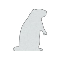 Infinite Defense Ground Hog Infinity Target Plinker 4D0233B8