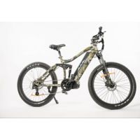 Bakcou Storm Electric Bicycle