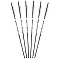 Ballista Piercer 20 in 2-Vanes Crossbow Bolts - Pack of 6