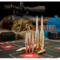 How to Use a Ballistic Calculator to Your Advantage