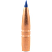 Barnes .25 Caliber Rifle Bullets, 117 grain, LRX Boat Tail