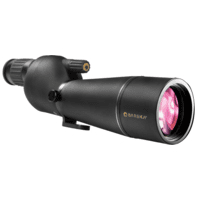 Name