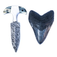 Battling Blades Shark Tooth High Carbon Damascus Bone Handle Knife