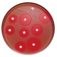BD BBL Sensi-Disc Antimicrobial Susceptibility Test Discs, BD Diagnostic Systems 231621 Cefuroxime