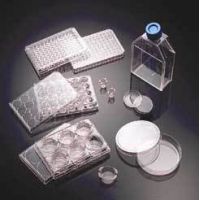 Corning BioCoat Cellware, Collagen Type IV, 354544 3.0 um Inserts In Plates 6-Well