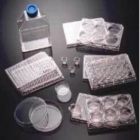Corning BioCoat Cellware, Laminin, 354404 Multiwell Plates 6-Well