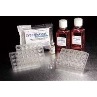 Corning BioCoat HTS Caco-2 Assay Systems, 354804 Replacement Parts Culture Inserts, Five Plate Kit