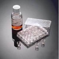 Corning BioCoat Matrigel Invasion Chambers, 354480 Corning Matrigel Invasion Chambers
