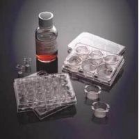 Corning BioCoat Matrigel Matrix Cellware, 354600 Culture Dishes 100 Mm (Thin Layer)