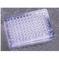 Corning Falcon 96-Well Cell Culture Plates, 351172 Plates With Untreated Surface, Sterile