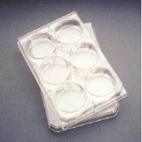 Corning Falcon Multiwell Flat-Bottom Plates with Lids, Sterile, 353043